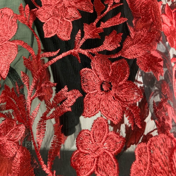 Floral Sleeveless Embroidered Mesh Sheath Black & Red - Picture 9 of 12